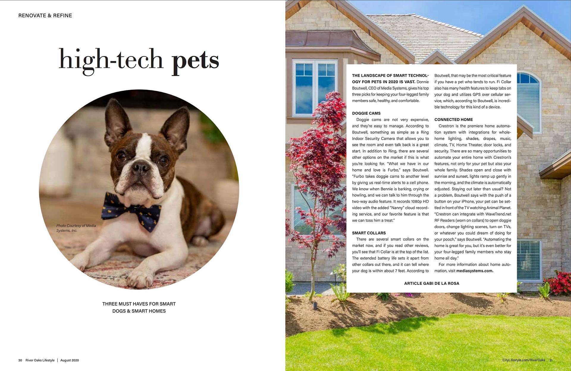 Image or Screenshot of High-Tech Pets: Three Must Haves for Smart Dogs & Smart Homes