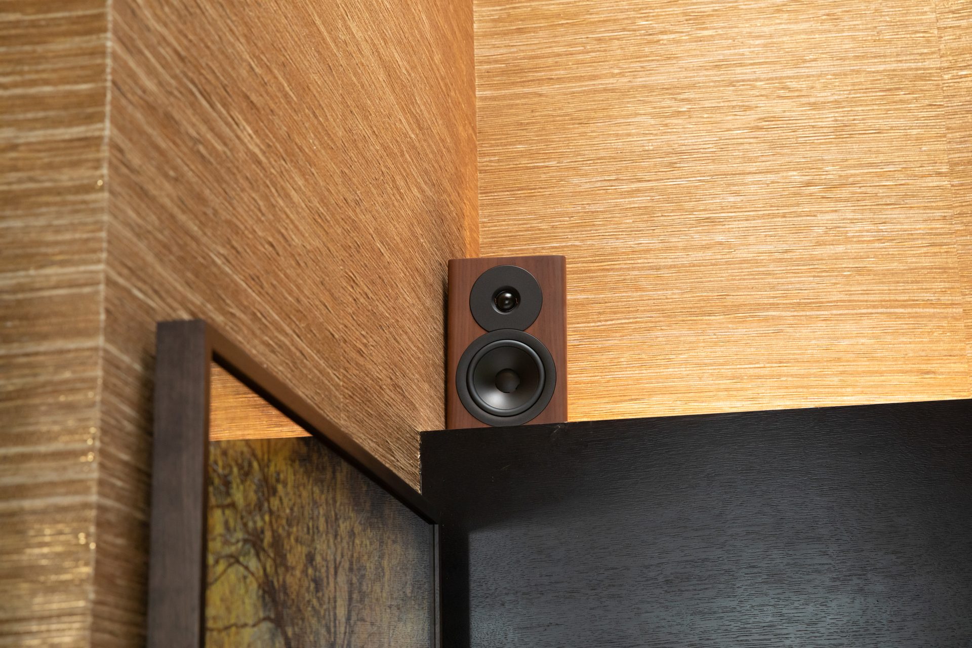 In-wall speaker blending into a grasscloth wall in a River Oaks home by Media Systems